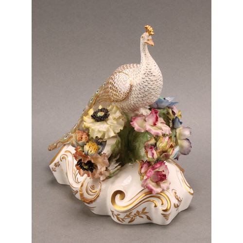 202 - A Royal Crown Derby porcelain model, of a Peacock, standing on a flower encrusted urn, tail down, pa... 