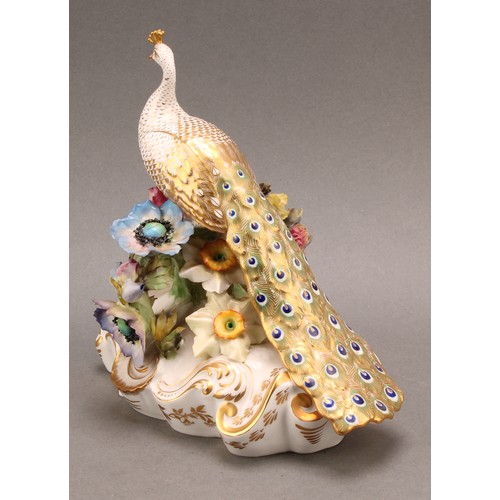 202 - A Royal Crown Derby porcelain model, of a Peacock, standing on a flower encrusted urn, tail down, pa... 