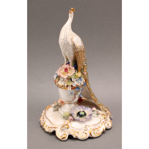 202 - A Royal Crown Derby porcelain model, of a Peacock, standing on a flower encrusted urn, tail down, pa... 