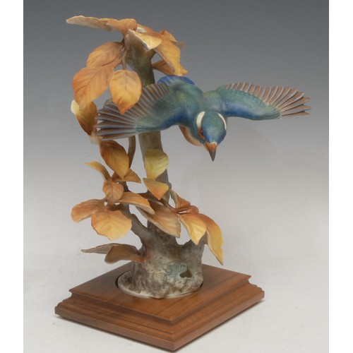 154 - A Royal Worcester porcelain model, Kingfisher and Autumn Beech, modelled by Dorothy Doughty, limited... 