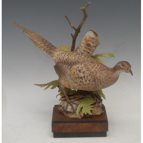 135 - A pair of Royal Worcester porcelain models, Ring-Necked Pheasant Male and Female, modelled by R. Van... 