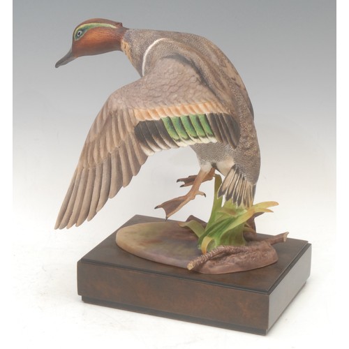 153 - A Royal Worcester porcelain model, Green-Winged Teal, modelled by R. Van Ruyckevelt, limited edition... 