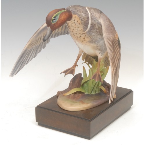 153 - A Royal Worcester porcelain model, Green-Winged Teal, modelled by R. Van Ruyckevelt, limited edition... 