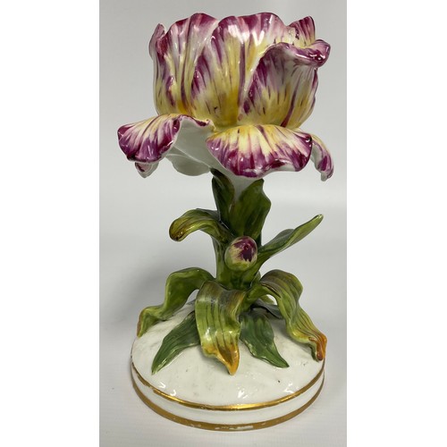 19 - A 19th century English porcelain tulip vase, the open flower raised on a leafy stem, circular gilt l... 