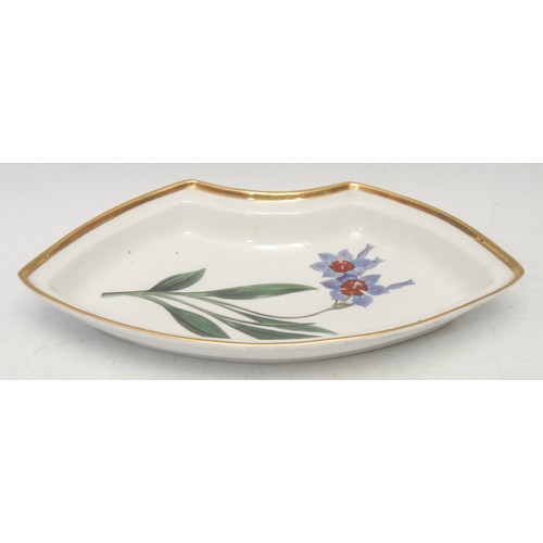 49 - A Chamberlains Worcester curved serving dish, boldly painted with botanical study, Red Blue Ixia, gi... 