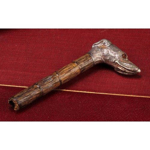 1012 - An early 20th century silver novelty parasol or walking stick handle, as the head of a dog, glass ey... 