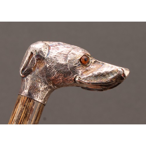 1012 - An early 20th century silver novelty parasol or walking stick handle, as the head of a dog, glass ey... 