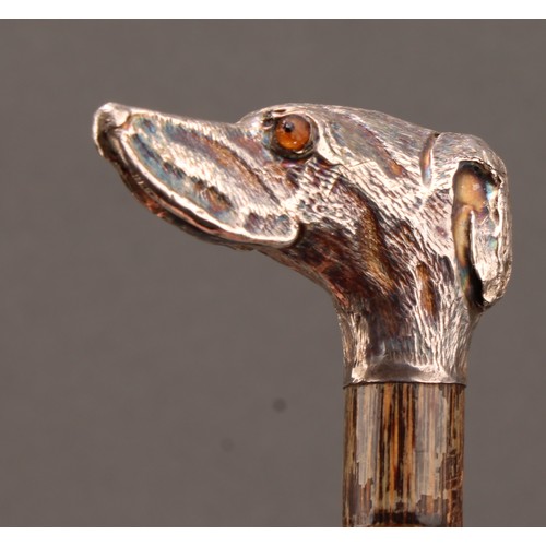 1012 - An early 20th century silver novelty parasol or walking stick handle, as the head of a dog, glass ey... 