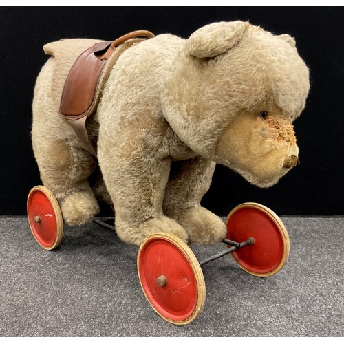 6527 - A mid 20th century Ride on Bear, possibly steiff, glass eyes, shaped snout, wood wool stuffing, meta... 