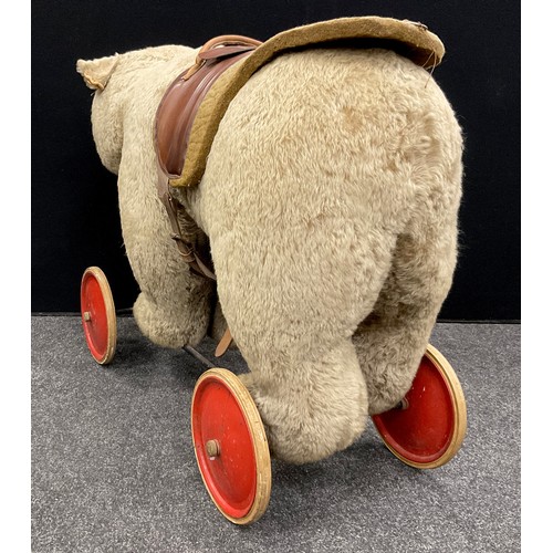 6527 - A mid 20th century Ride on Bear, possibly steiff, glass eyes, shaped snout, wood wool stuffing, meta... 