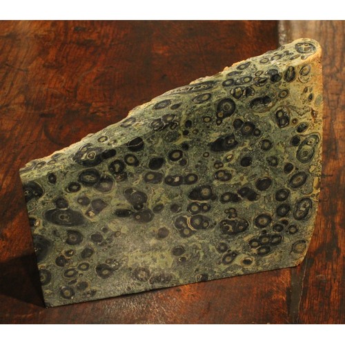 1958 - Geology and Mineralogy - a Kambaba Jasper specimen, 4.5cm x 22cm x 18cm, 3kg