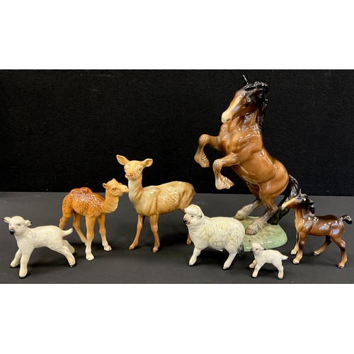 130A - Beswick Rearing Horse no. 1014, 26cm high, one smaller, one sheep and two lambs, a doe deer, a camel... 