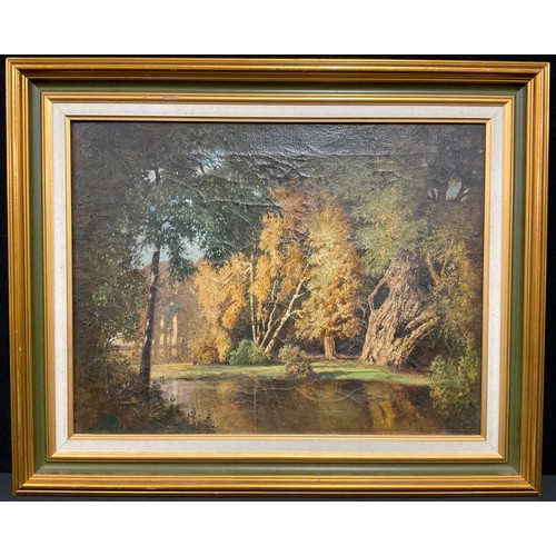 653 - English School (19th century),   
Wooded Lake Scene  
unsigned, oil on canvas, 41cm x 32cm