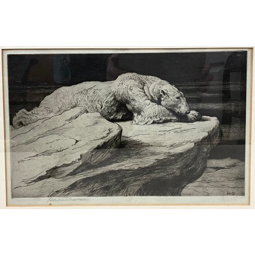 52 - Herbert Dicksee (1862-1942), by and after, Polar Bear resting, signed in pencil lower left margin, d... 