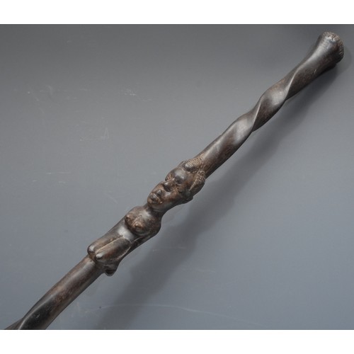 3717 - An Edwardian silver mounted walking stick, horn handle, silver collar, ebonised cane, 81.5cm long ov... 