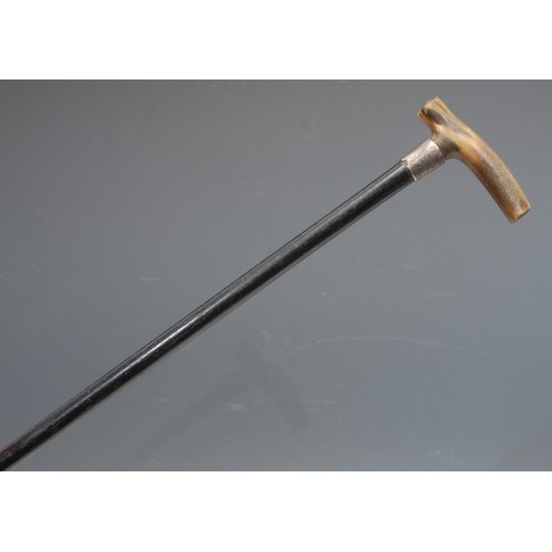 3717 - An Edwardian silver mounted walking stick, horn handle, silver collar, ebonised cane, 81.5cm long ov... 