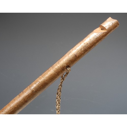 3717 - An Edwardian silver mounted walking stick, horn handle, silver collar, ebonised cane, 81.5cm long ov... 