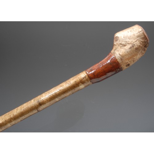 3717 - An Edwardian silver mounted walking stick, horn handle, silver collar, ebonised cane, 81.5cm long ov... 