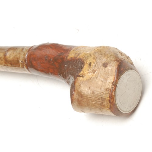 3717 - An Edwardian silver mounted walking stick, horn handle, silver collar, ebonised cane, 81.5cm long ov... 