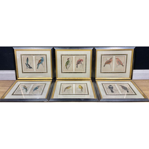 400 - Reverend Francis Morris after, set of twelve Ornithological coloured engravings, each framed as a pa... 