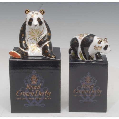 3080 - A Royal Crown Derby paperweight, Giant Panda, gold stopper, 12cm, printed mark in red, boxed; anothe... 