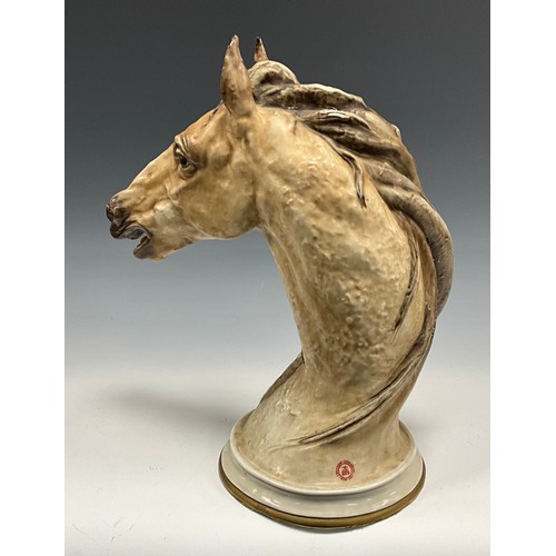 6297 - A Capodimonte porcelain bust, by Piergianni Cedraschi (1935-2012), modelled as a horse's head, paint... 