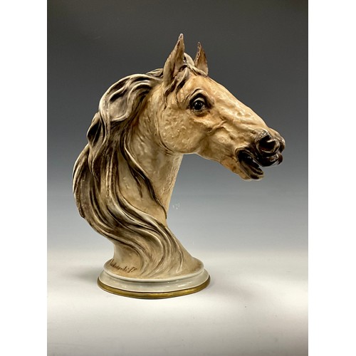 6297 - A Capodimonte porcelain bust, by Piergianni Cedraschi (1935-2012), modelled as a horse's head, paint... 