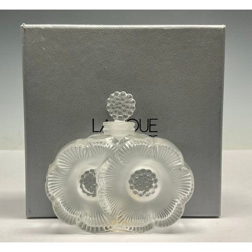 Lot 5036      