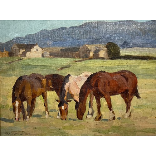Lot 35        