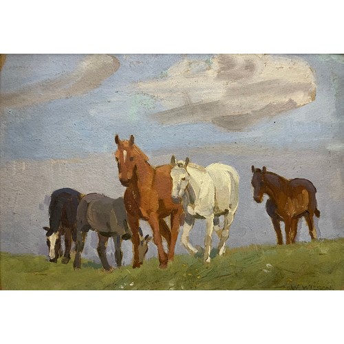 Lot 36        