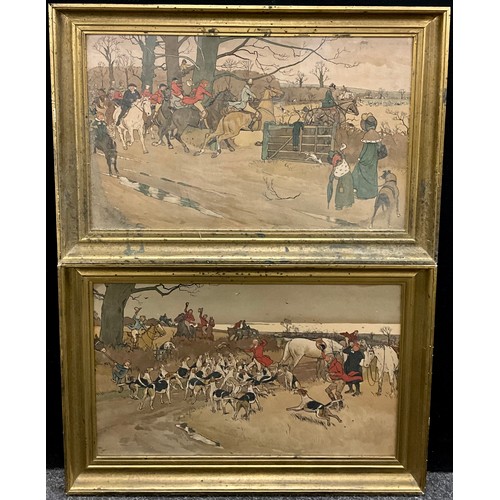 Lot 53        