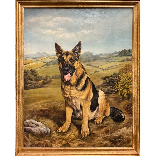 Lot 52        
