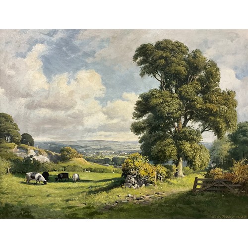 Lot 56        