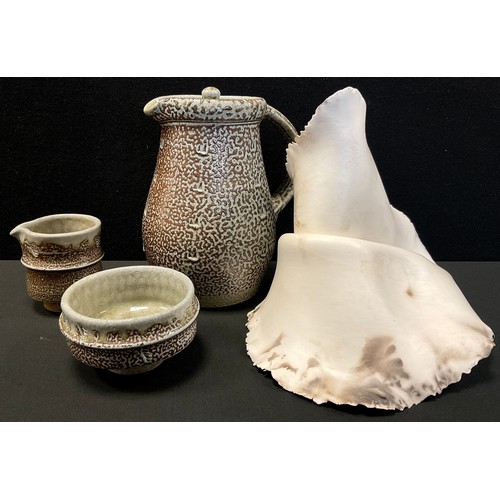 Lot 29        