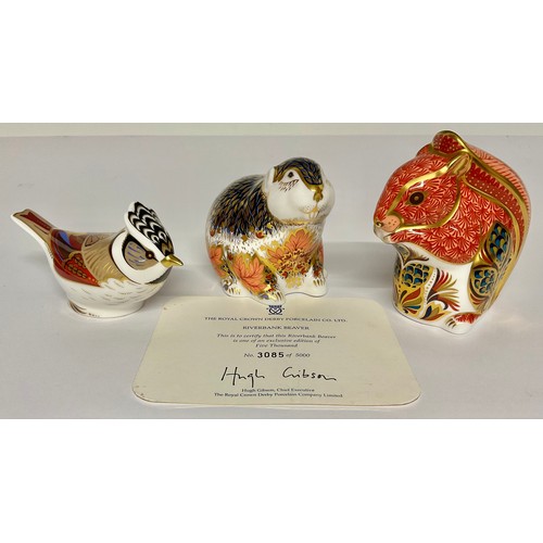 3153 - A Royal Crown Derby paperweight, Riverbank Beaver, limited edition 3,085/5,000, gold stopper, 7.5cm ... 