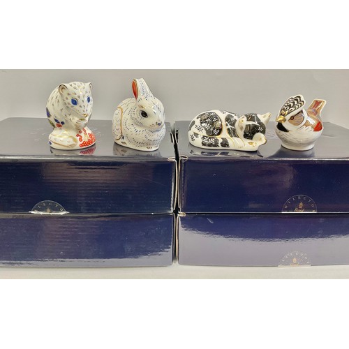 3122 - A Royal Crown Derby paperweight, Misty Kitten, Collector's Society Member's Pack exclusive, 8cm long... 