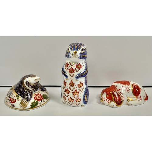 3123 - A Royal Crown Derby paperweight, Mole, gold stopper, 8.5cm long, printed mark in red; others, Chipmu... 
