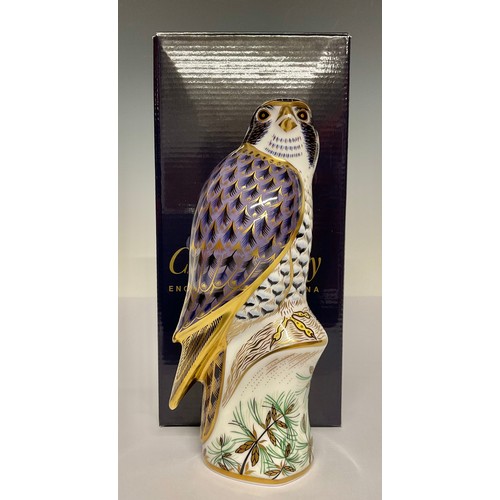 3141 - A Royal Crown Derby paperweight, Peregrine Falcon, gold stopper, 20cm, printed mark in red, boxed