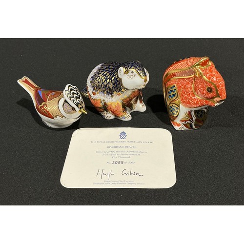 Lot 5047      
