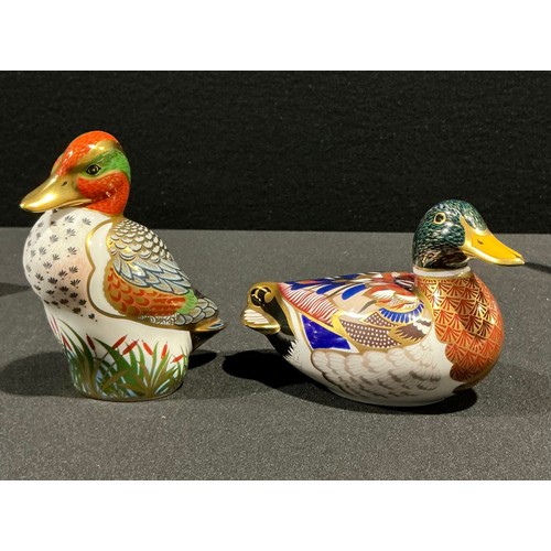 Lot 5036      
