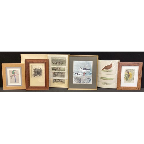 105 - Pictures and prints - A folio of containing 18/19th century hand coloured engravings of Winners of S... 