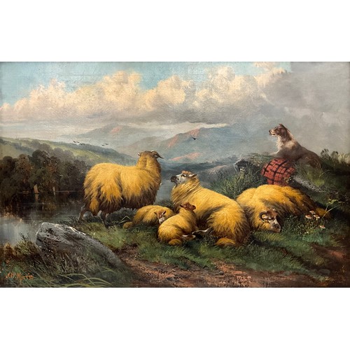490 - J. W. Morris 
The Faithful Watcher, Highland Sheep and a Collie, 
signed, oil on canvas, 50cm x 75cm... 
