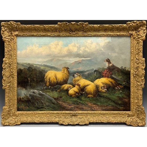490 - J. W. Morris 
The Faithful Watcher, Highland Sheep and a Collie, 
signed, oil on canvas, 50cm x 75cm... 