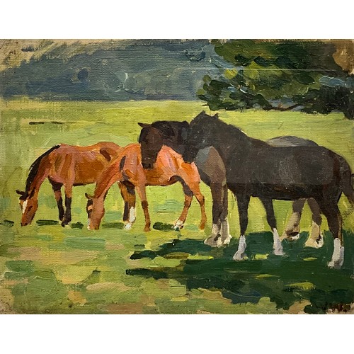 Lot 554       