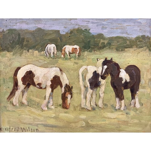 Lot 555       