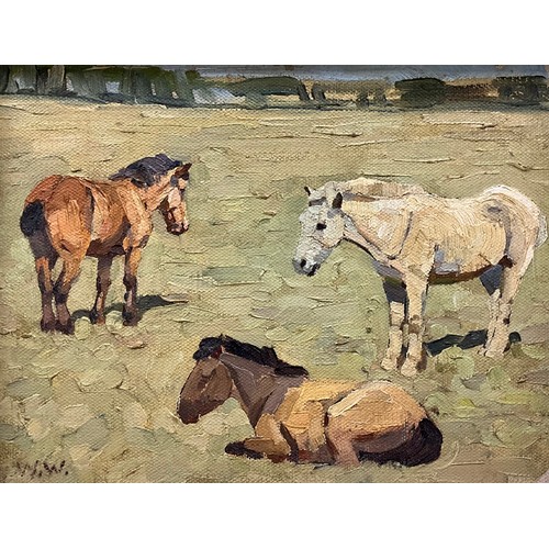 Lot 556       