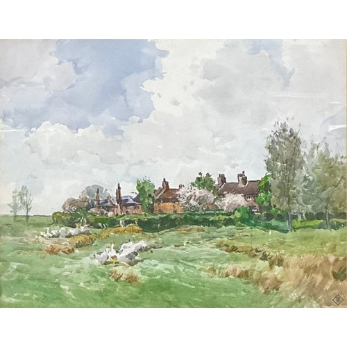 Lot 561       