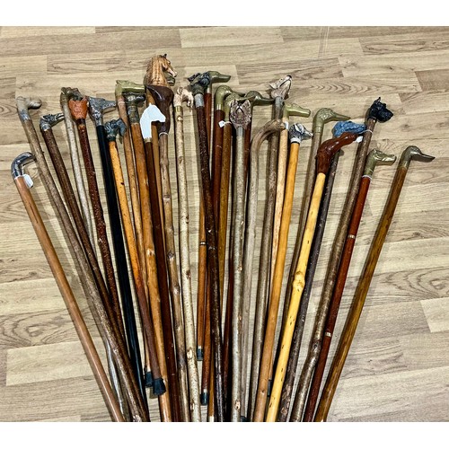 299 - Walking Sticks - animal related pommels - an early 20th century one-piece bentwood walking stick car... 