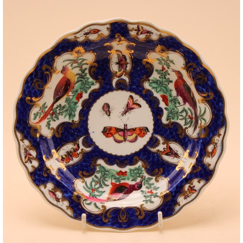 55 - A 19th century Derby plate, painted with exotic birds in gilt panels on a blue scale ground, possibl... 