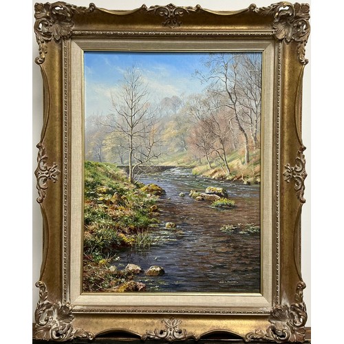 42 - Rex N Preston (Bn. 1948)
River Bradford Near Youlgreave
signed, oil on canvas, 40cm x 29cm